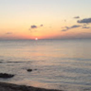 Meet your Posher, Charlee